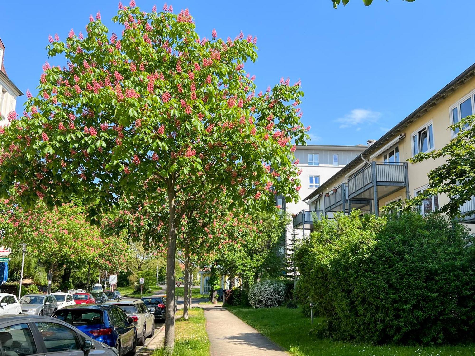 New-York Appartment, 2 Zimmer, Zentral Naehe Bahnhof Wilhelmshoehe Kassel Kültér fotó